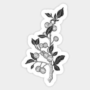 Berries on a branch Sticker